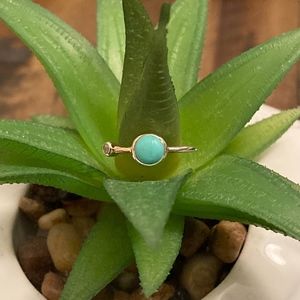 PURA VIDA RETIRED TURQUOISE DOUBLE STONE RING | SILVER